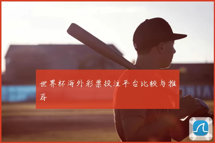 世界杯海外彩票投注平台比较与推荐