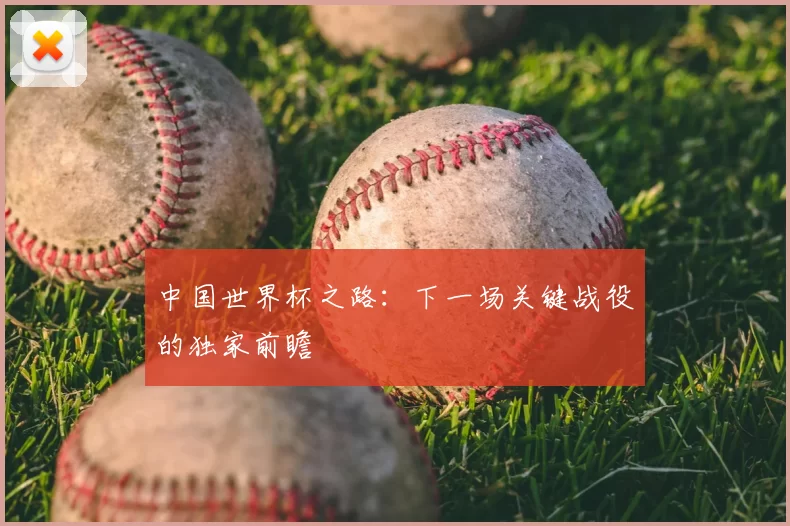 中国世界杯之路:下一场关键战役的独家前瞻