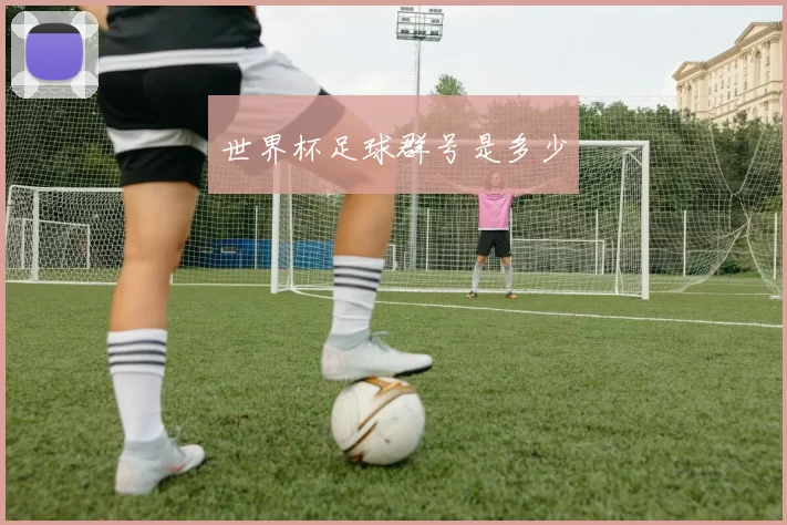 世界杯足球群号是多少