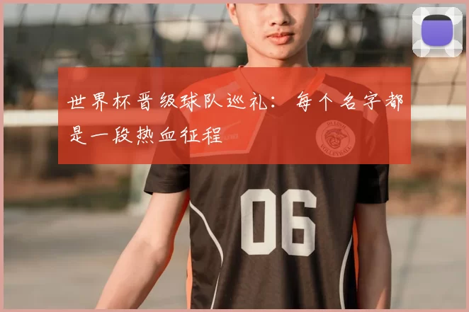 世界杯晋级球队巡礼：每个名字都是一段热血征程