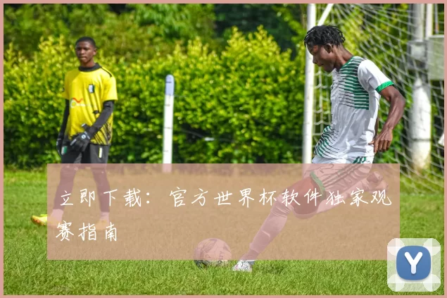 立即下载:官方世界杯软件独家观赛指南