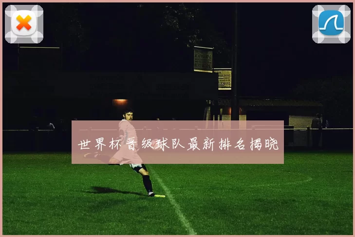 世界杯晋级球队最新排名揭晓