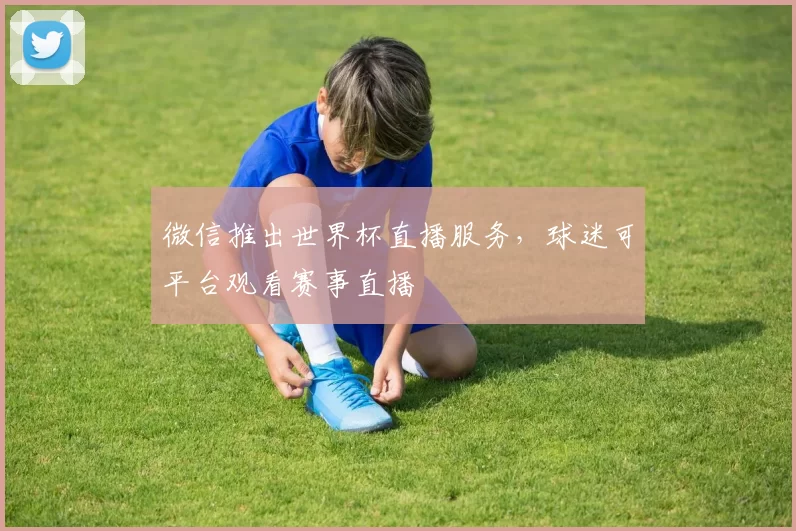 微信推出世界杯直播服务，球迷可平台观看赛事直播