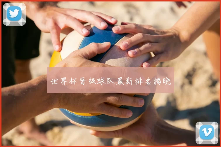 世界杯晋级球队最新排名揭晓