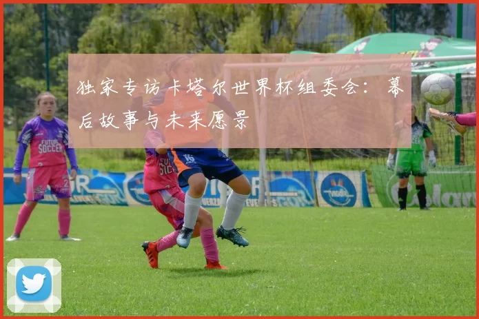 独家专访卡塔尔世界杯组委会:幕后故事与未来愿景
